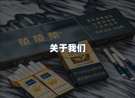 关于我们